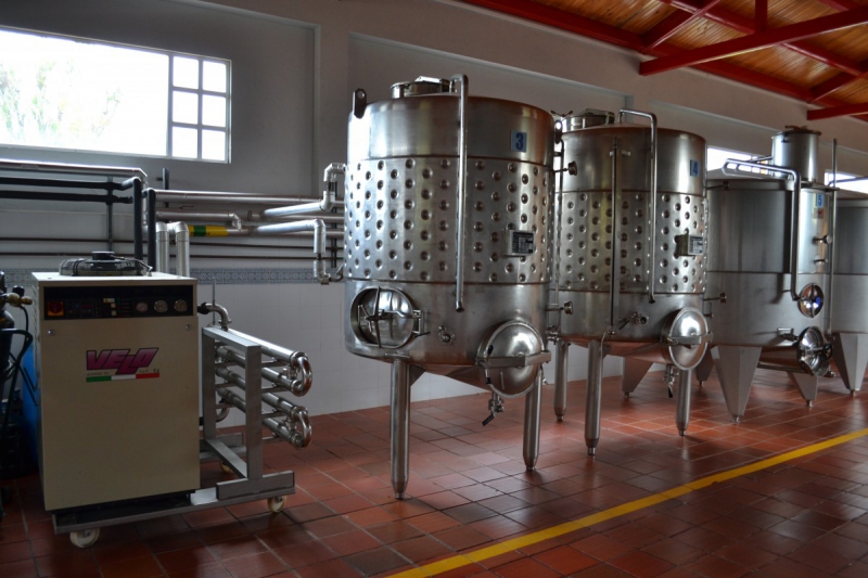 cave-VILLARS SUR VAR-min_wine_production_cantine_winery_drink_alcohol_vine_beverage-902036